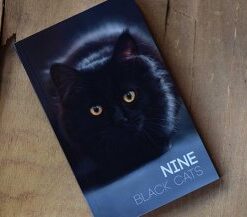 Nine Black Cats by Neemdog and Lorenzo ( Instant Download )