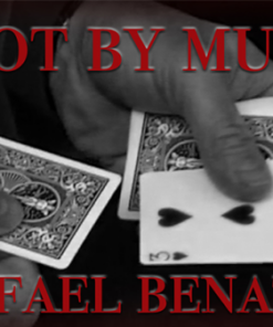 Rafael Benatar – Not by Much ( Instant Download )