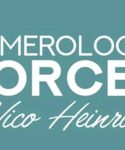 Nico Heinrich – Numerologic Forces ( Instant Download )