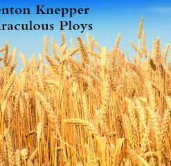 Miraculous Ploys by Kenton Knepper ( Instant Download )