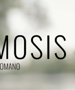 Rodrigo Romano – Osmosis ( Instant Download )