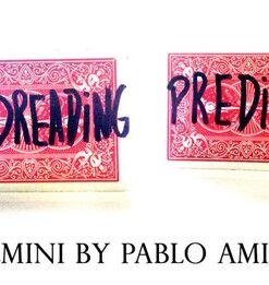 Pablo Amira - Gemini ( Instant Download )