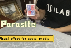 Parasite by Dingding ( Instant Download )