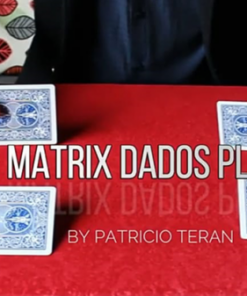 Patricio Teran – Matrix Dados plus (1080p video) ( Instant Download )