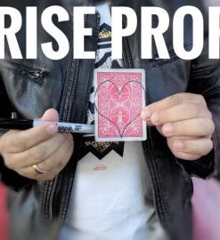 Surprise Proposal by Patricio Teran ( Instant Download )