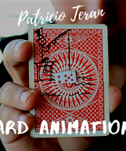 Patricio Teran – The Vault – Card Animations ( Instant Download )