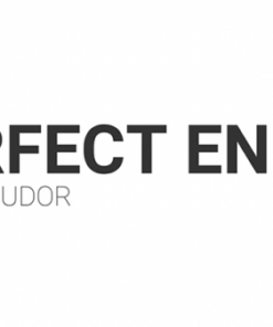 Dan Tudor – Perfect Ending ( Instant Download )