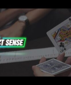 Daniel Hiew – Perfect Sense ( Instant Download )