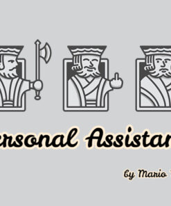 Mario Tarasini – Personal Assistant ( Instant Download )