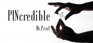 pincredible20by20mr