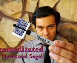 Premeditated by Nathaniel Segal ( Instant Download )
