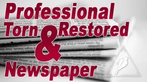 professional-tnr-newspaper-300x169-1