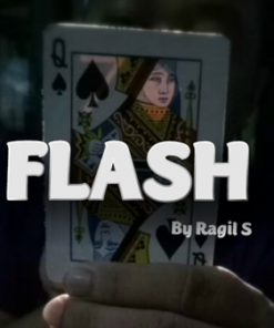 Ragil Septia – FLASH (720p video) ( Instant Download )