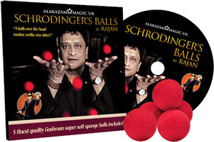 rajan20-20schrodingers20balls