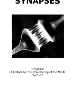 Synapses by Raj Madhok. ( Instant Download )