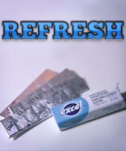 SansMinds – Refresh ( Instant Download )