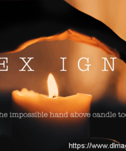 Rex Ignis – Impossible Heat Control by ParaLabs ( Instant Download )