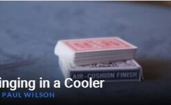 Ringing in a Cooler by Paul Wilson ( Instant Download )