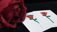 Magic Eye & Magiclism – Rosy – (gimmicked cards not included) ( Instant Download )