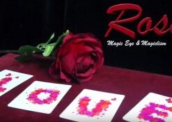 Rosy by Magic Eye ( Instant Download )