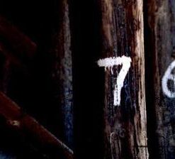 Russ Andrews - Numbers ( Instant Download )