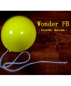 RYOTA - Wonder Floating Balloon ( Instant Download )