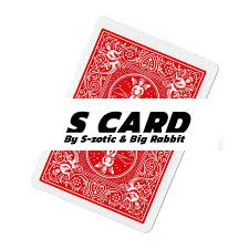 S-zotic & Big Rabbit – S Card (DIYable) ( Instant Download )