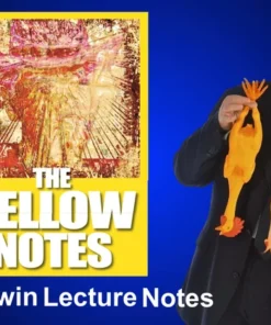 The Yellow Notes by Nick Lewin. ( Instant Download )