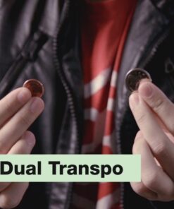 SansMinds – Dual Transpo ( Instant Download )