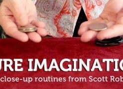 Scott Robinson - Pure Imagination ( Instant Download )