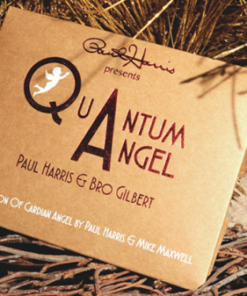 Quantum Angel by Paul Harris ( Instant Download )