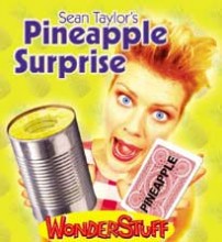 Sean Taylor – Pineapple Surprise ( Instant Download )