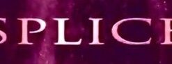 Shin Lim - Splice ( Instant Download )