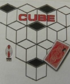 Shoot Ogawa - Cube ( Instant Download )
