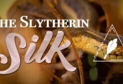 Slytherin Silks: Serious Standup Sorcery by Conjuror Community. ( Instant Download )