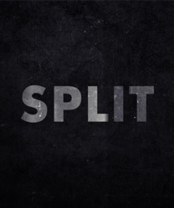 EVM – Split ( Instant Download )