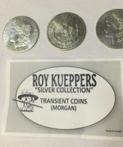 Transient Coins by Roy Kueppers ( Instant Download )
