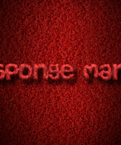 Christian Allen – Spongeman ( Instant Download )