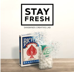 stay20fresh20by20sansminds20creative20lab