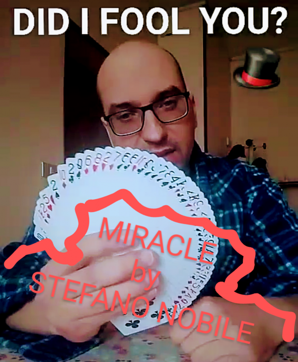 stefano-nobile-miracle-600x729-1