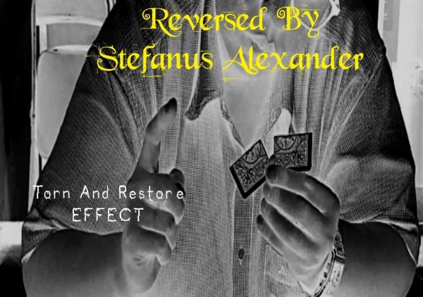 stefanus-alexander-reversed-instant-download-600x422-1
