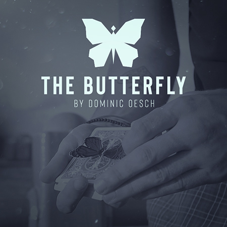 store_thebutterfly
