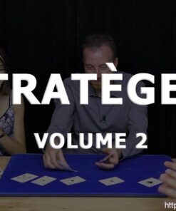 Stratège 2 – Volume 2 par philippe Molina ( Instant Download )