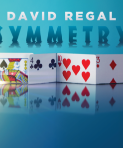 David Regal – Symmetry ( Instant Download )