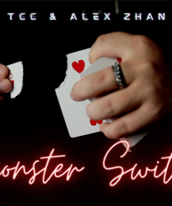TCC & Alex Zhan – The Vault – Monster Switch ( Instant Download )
