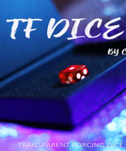 Chris Wu – TF Dice (Dice not included, but DIYable) ( Instant Download )