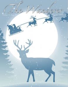 The Jerx - Newsletter December 2020 - The Wanderer Issue 9 ( Instant Download )