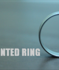 Arnel Renegado – THE HAUNTED RING ( Instant Download )