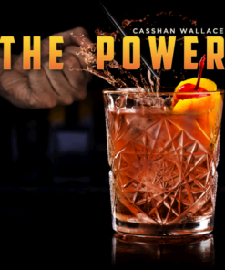 Casshan Wallace – The Power ( Instant Download )