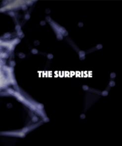 Think Nguyen – The Surprise ( Instant Download )